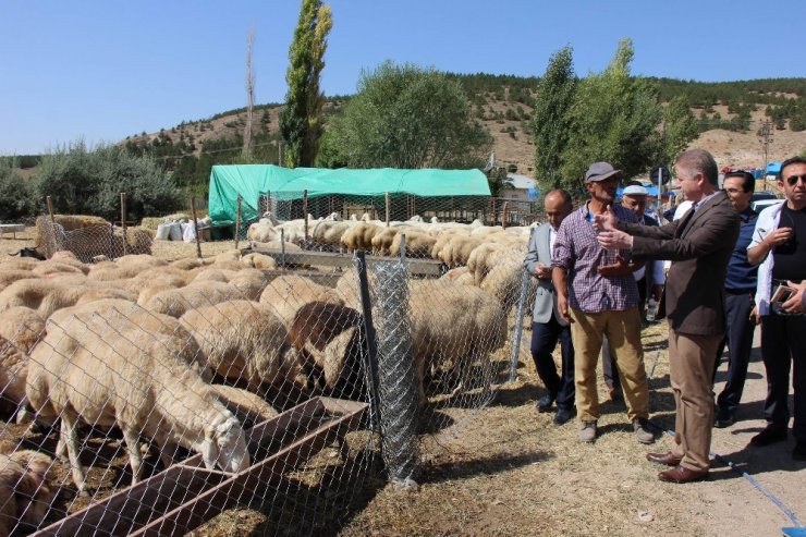 Vali Gül, kurban pazarını gezdi