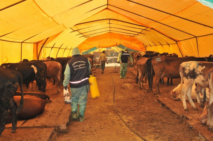 Keçiören’de kurban çadırları tertemiz, hijyenik