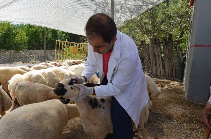 Yeşilyurt’ta 12 farklı noktada kurban satış-kesim yerleri oluşturuldu