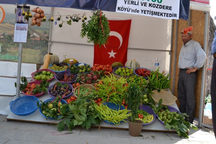 Yenişehir festivale hazırlanıyor