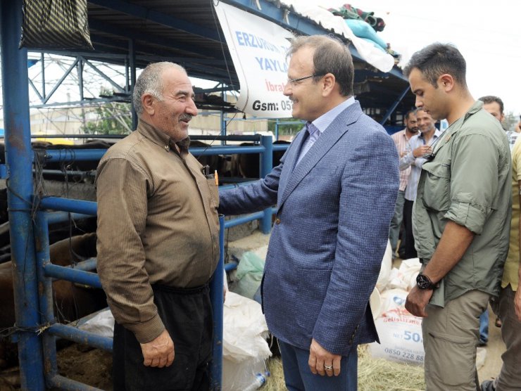 Başbakan Yardımcısı Çavuşoğlu, sürücüleri uyardı