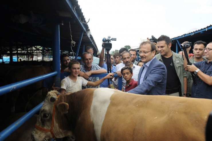 Çavuşoğlu: "Arakan’daki katliamı tribünden izleyen uluslararası toplumu hayretler içinde izliyoruz"