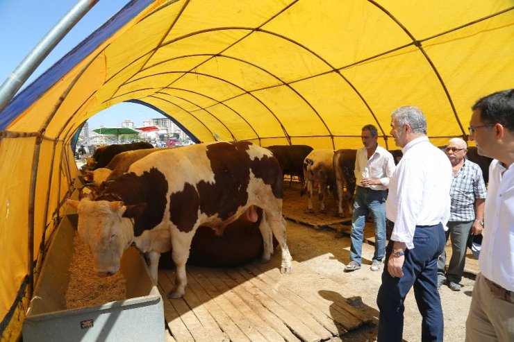 Başkan Çelik Kurban Pazarı’nda