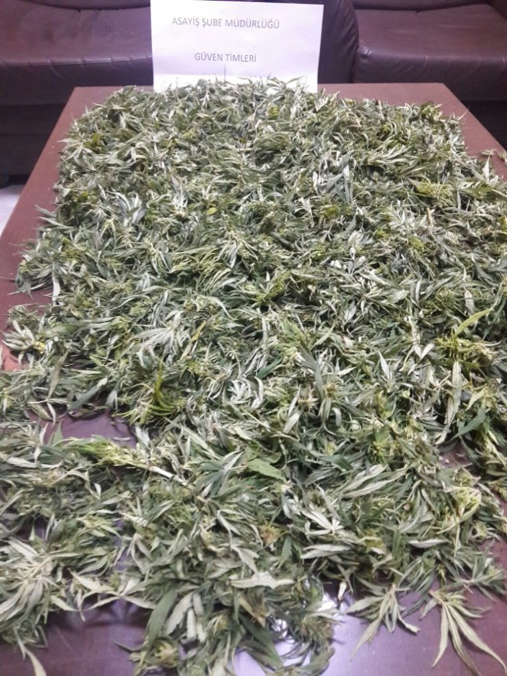 Erzurum’da 1 kilo 313 gram esrar, 88 adet extasy hap ele geçirildi