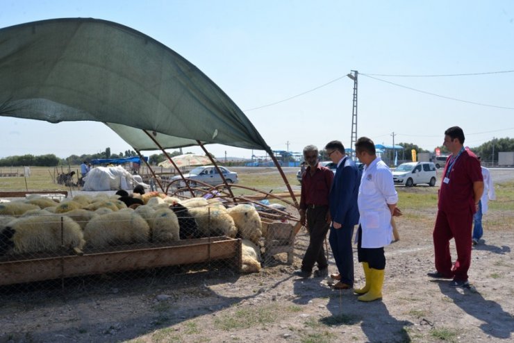 Tarım İl Müdürlüğü’nden Kurban Alacak Olanlara Büyük Hizmet