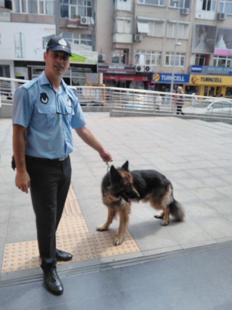 Yaralı ve sahipsiz sokak hayvanlarına zabıta şefkati