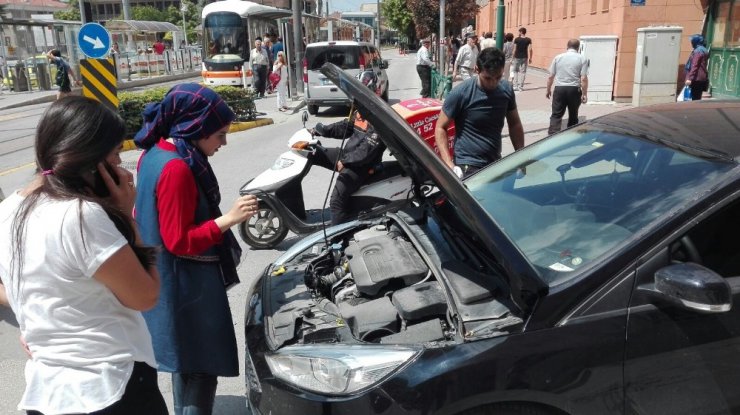 Bak şu yavru kedinin yaptığına