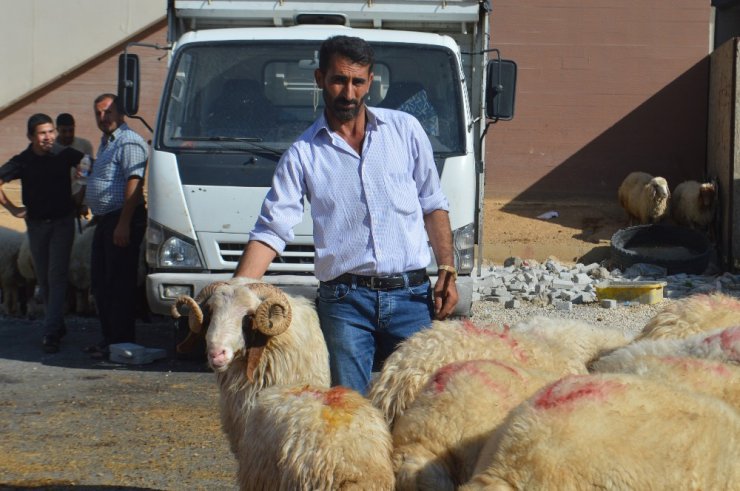 Mardin’de kurban satıcıları umduğunu bulmadı