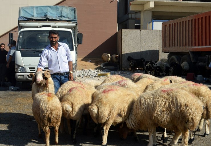 Mardin’de kurban satıcıları umduğunu bulmadı