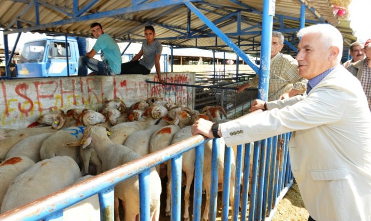 Nilüfer Kurban Bayramı’na hazır