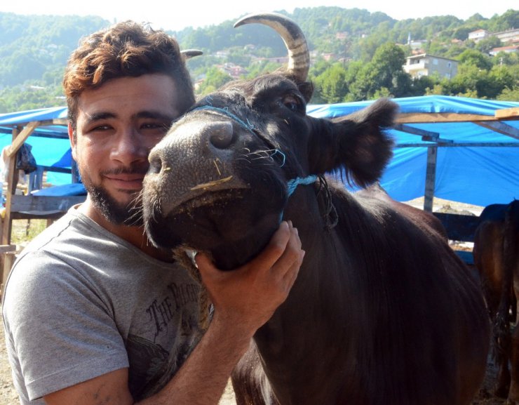 Sahibi uyurken çalınan ineği polis buldu