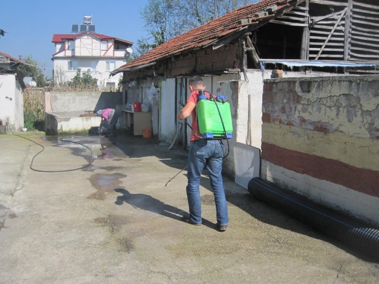 Akyazı Belediyesi bayramı için hazırlıkları tamamladı