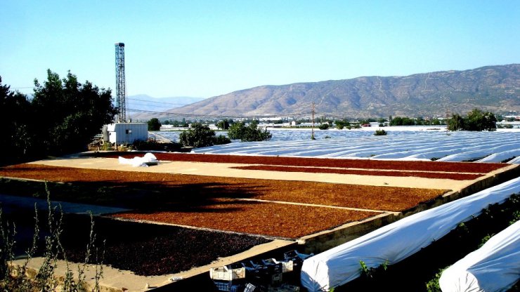 TARİŞ’in kuru üzüm fiyatlarını açıklaması istendi