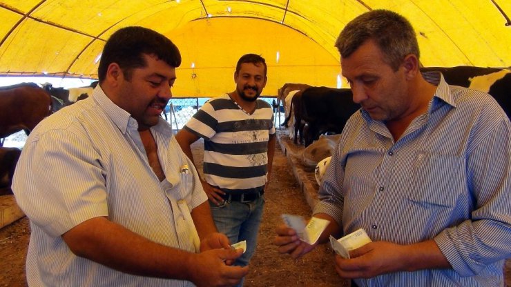 Çorlu kurban pazarında besicinin tadı tuzu yok