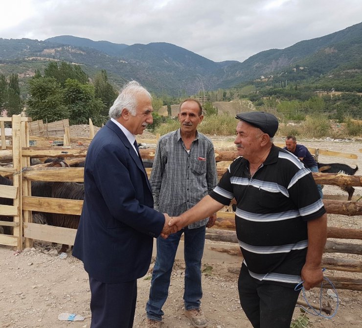 Reşadiye’de kurban pazarında küçükbaş hayvana ilgi