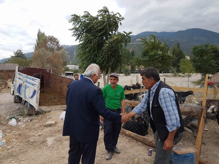 Reşadiye’de kurban pazarında küçükbaş hayvana ilgi