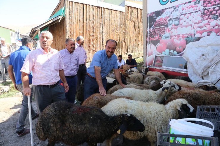 Varto’da kurbanlık satan vatandaşların hayvan pazarı talebi