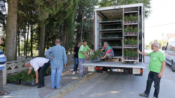 Mezarlıkları ziyarete gelenlere 4 bin adet gül dağıtıldı