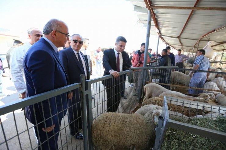 Vali ve belediye başkanından hayvan pazarına çıkarma