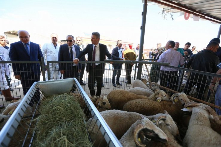 Vali ve belediye başkanından hayvan pazarına çıkarma