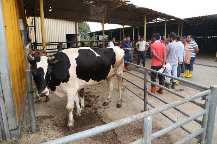 Büyükşehir’den kurban kesenlere uyarı