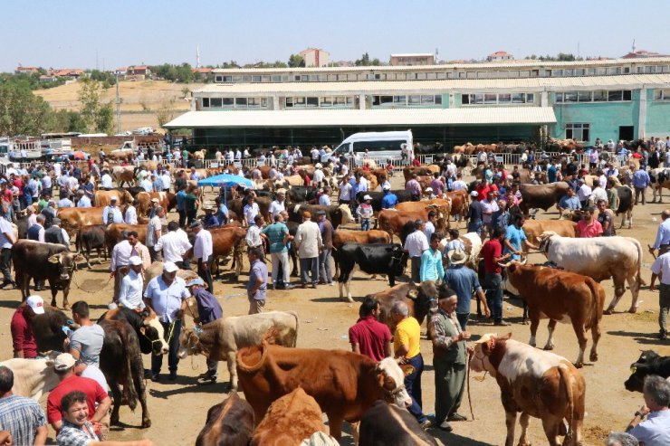 Malatya Canlı Hayvan Pazarında Arife yoğunluğu