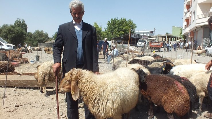 Malazgirt’te kurbanlılara yoğun ilgi