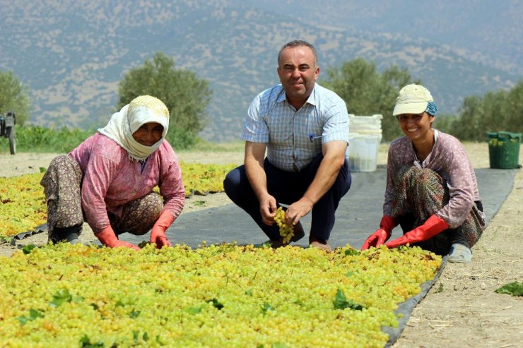 Ziraat Odasından "Üzümünü açığa dökme" uyarısı