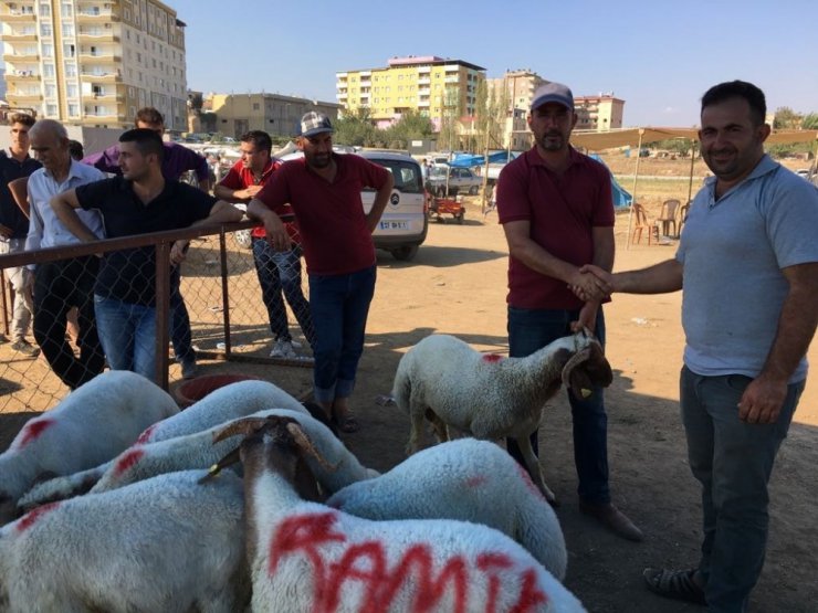 Nurdağı kurban pazarından yoğunluk yaşandı