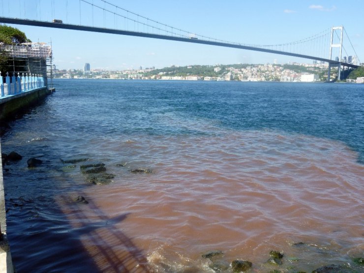 İstanbul Boğazı kana büründü