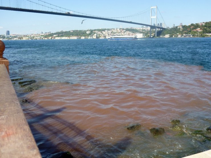 İstanbul Boğazı kana büründü