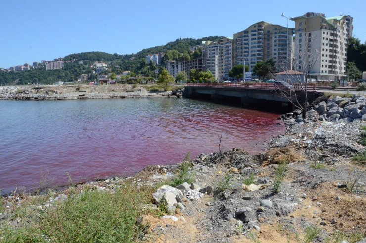 Zonguldak’ta acemi kasaplar hastaneye akın etti