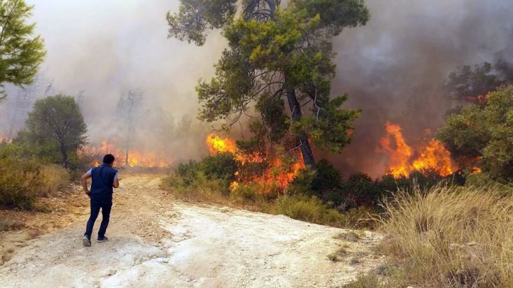 Akbük Koyu’nda orman yangını