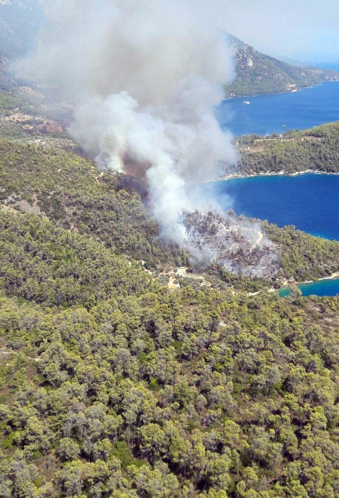 Muğla’da orman yangını