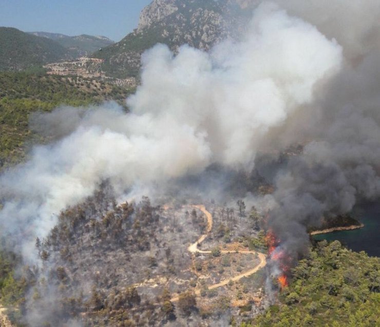 Milas’ta orman yangını