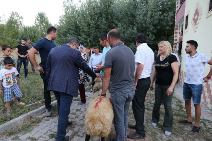 Kaymakam Çetin’den şehit ailelerine kurbanlık koyun yardımı