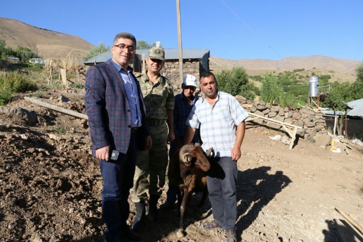 Kaymakam Çetin’den şehit ailelerine kurbanlık koyun yardımı