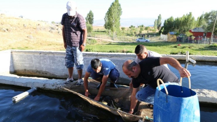 Kaymakam Çetin alabalık tesisini inceledi