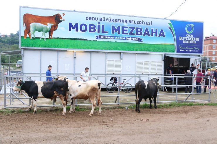 Ordu’da mobil mezbahada kurban kesimi