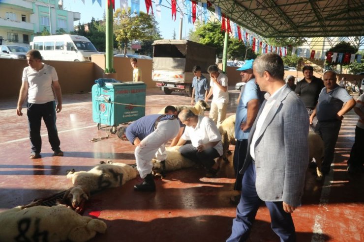 Tahmazoğlu, kurban kesim yerlerini gezdi