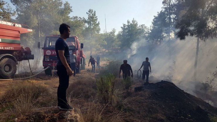 Antalya’da çıkan orman yangını büyümeden söndürüldü