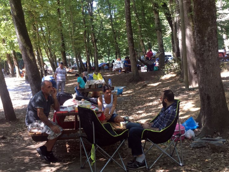 İstanbullular bayramın ikinci günü piknik alanlarına akın ettiler