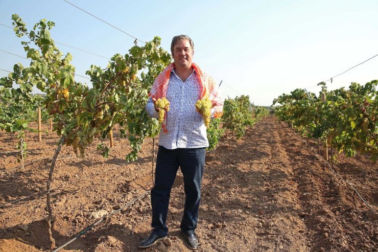 Buca’da Bağ Bozumu Şenliği 10 Eylül’de