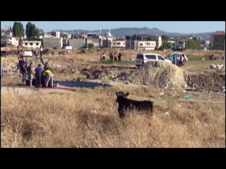 Sahibinin elinden kurtuldu, bir saat kovalamaca yaşattı