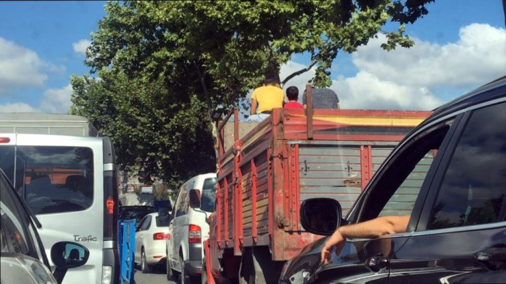 Yanlarındaki küçük çocukla kamyon tepesinde kurbanlık almaya gittiler