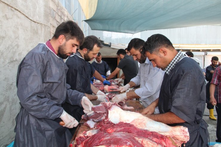 Van’da toplu kurban kesimi