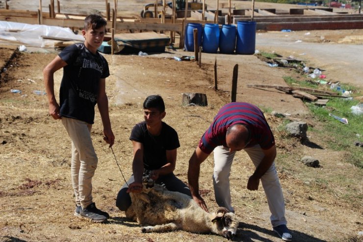 Kurban pazarlarında son gün telaşı