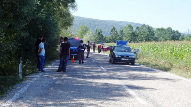 Sinop’ta otomobilin üzerine ağaç düştü: 1 ölü, 2 yaralı