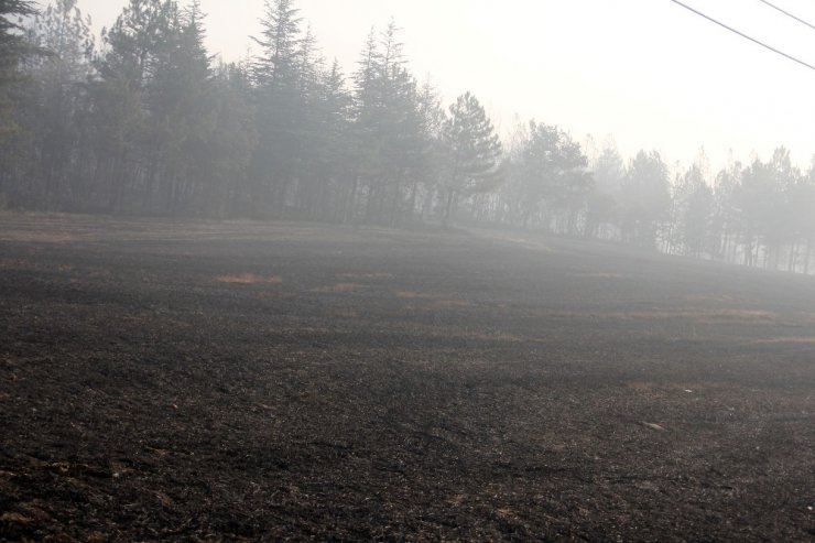 Bolu’da orman yangını 2’nci gününde devam ediyor