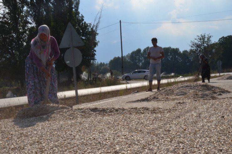 Çifte değil yolda kavrulmuş çekirdek